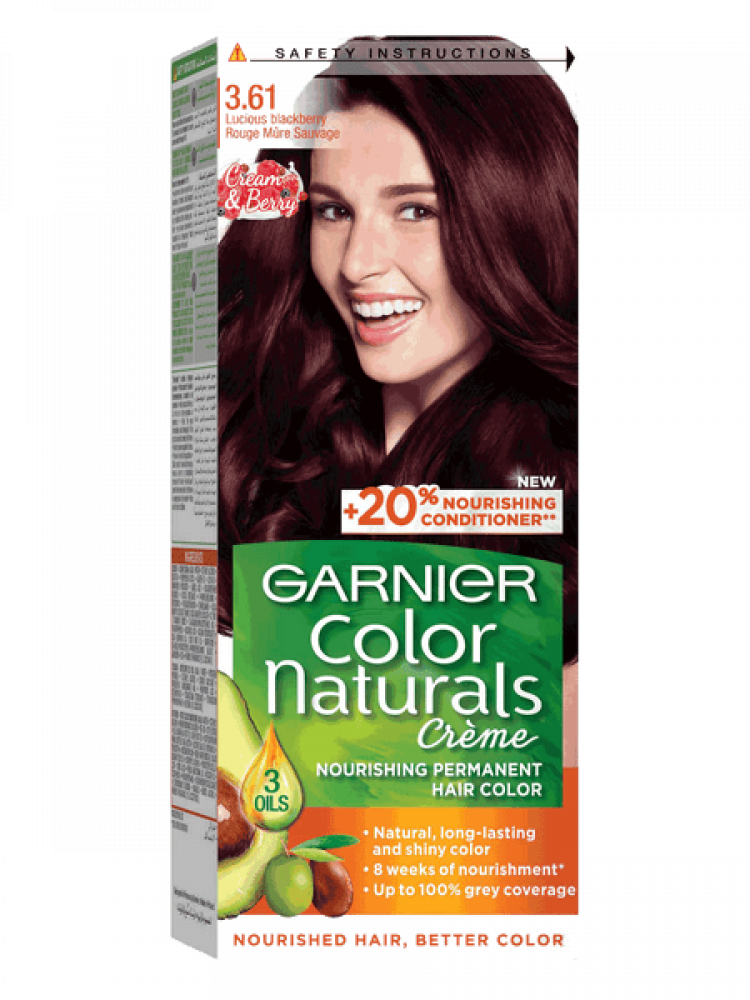 Garnier Hair Color 3.61 Lucious Blackberry