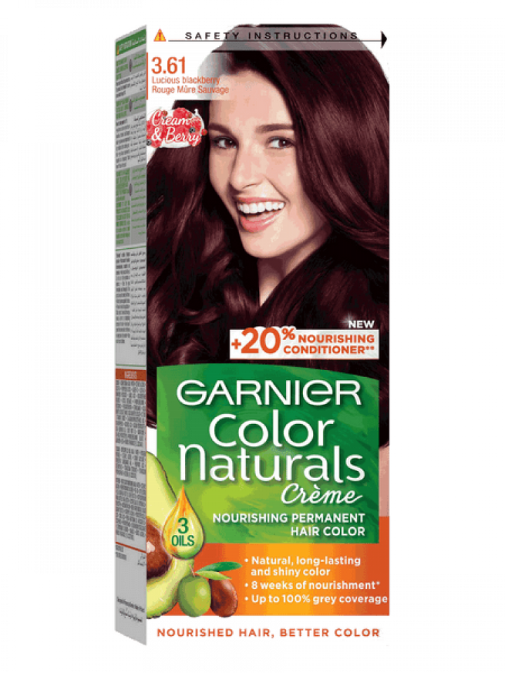 Garnier Hair Color 3.61 Lucious Blackberry