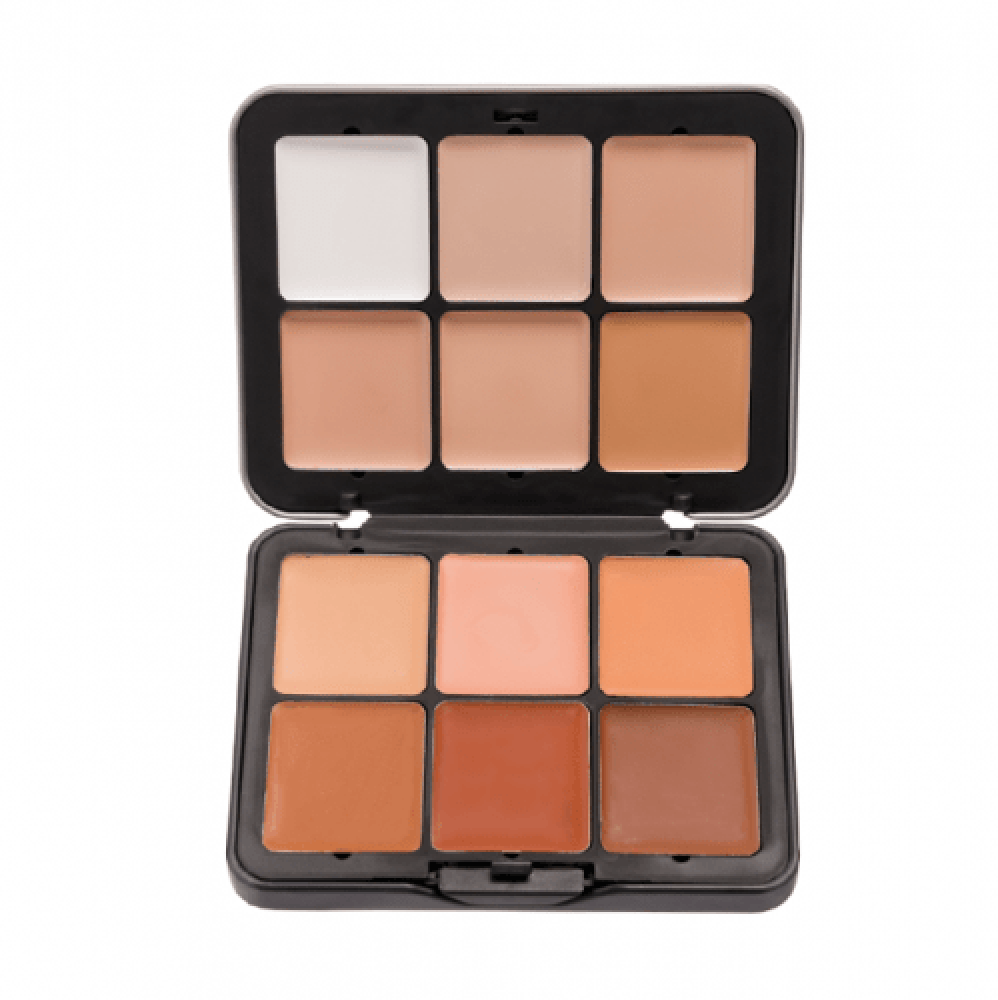 Make Over 22 12 Concealer Palette 26.7Gm (Cc01)