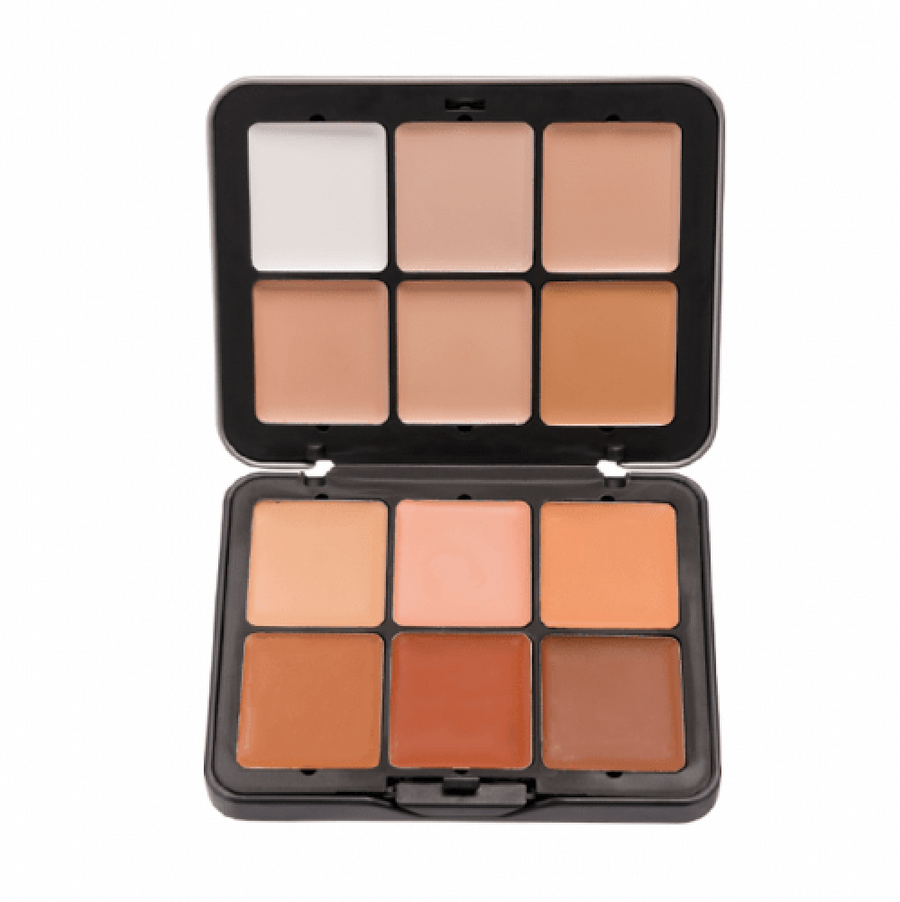 Make Over 22 12 Concealer Palette 26.7Gm (Cc01)