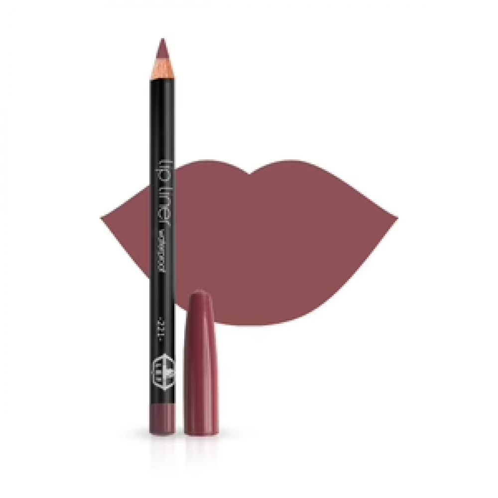 LEF LIP LINER 1.13G WATERPROOF NO 221