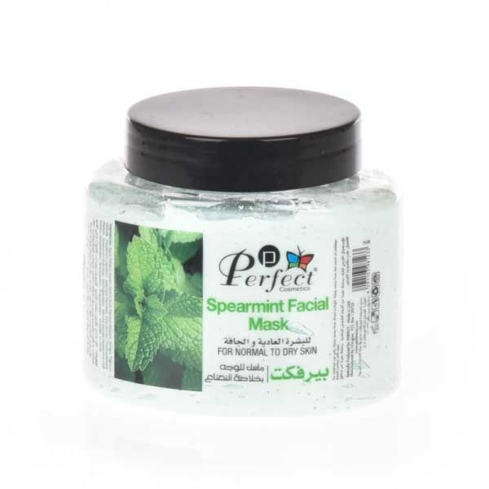 PERFECT FACE MASK MINT 500 ML
