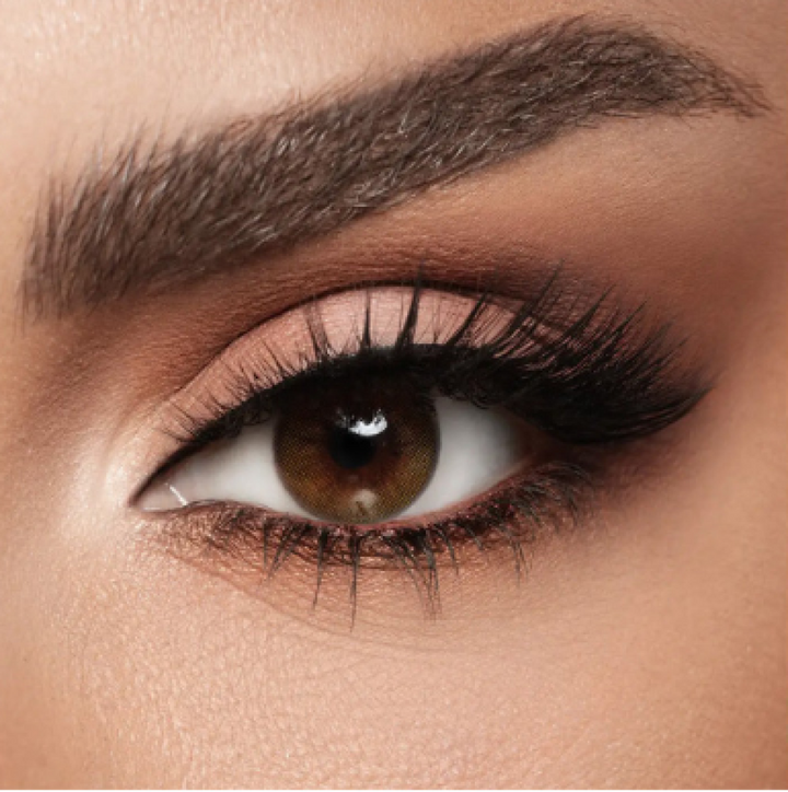 Lenses Diva Contact Lenses LAMIER