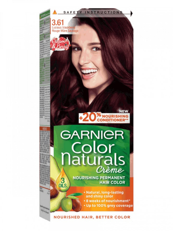 Garnier Hair Color 3.61 Lucious Blackberry