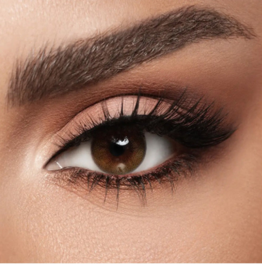 Lenses Diva Contact Lenses LAMIER