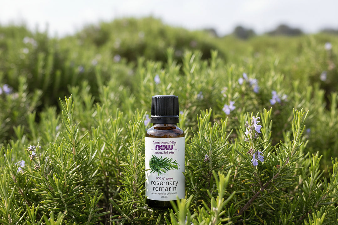 زيت إكليل الجبل من ناو إسينشال أويلز، 30 مل، للعلاج بالروائح العطرية والعافية الطبيعية، متوفر لدى ملسا