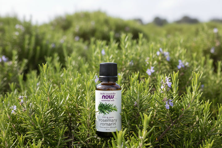 زيت إكليل الجبل من ناو إسينشال أويلز، 30 مل، للعلاج بالروائح العطرية والعافية الطبيعية، متوفر لدى ملسا