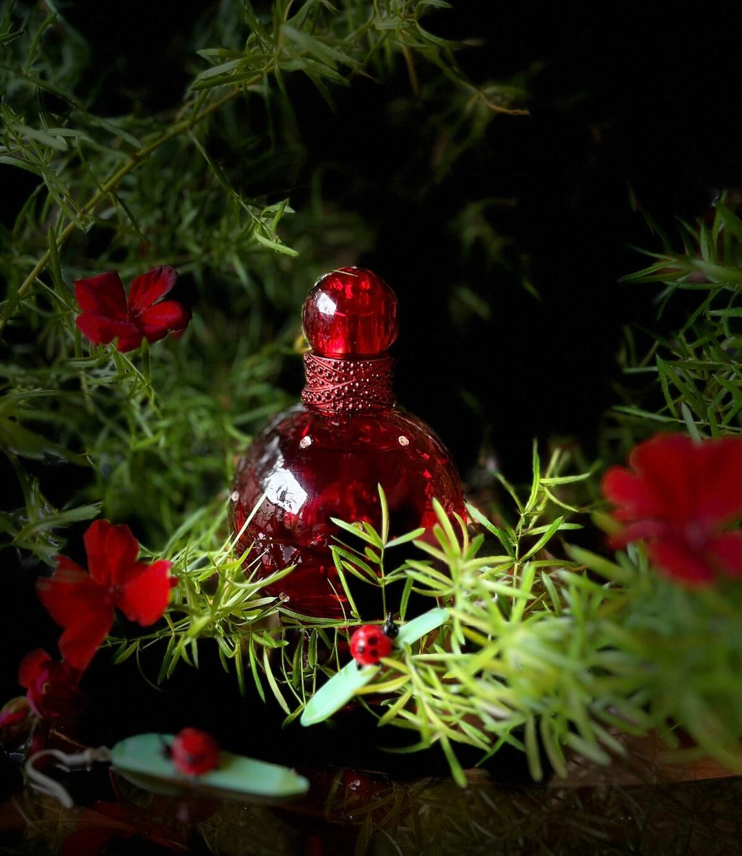 بريتني سبيرز هيدن فانتسي للنساء - 100 مل - أو دو بارفان