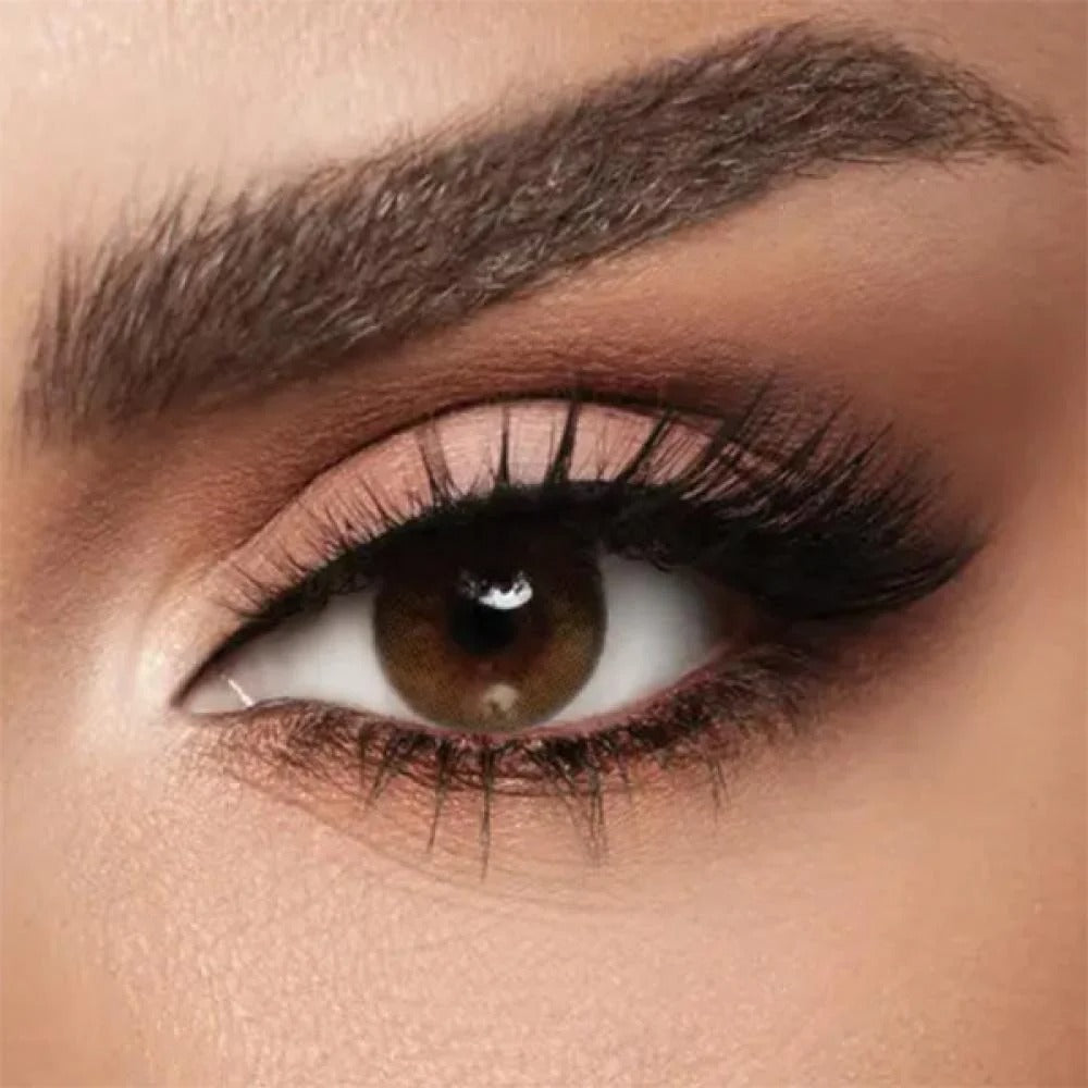 Lenses Diva Contact Lenses LAMIER